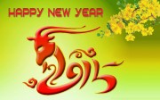 VINADES thông báo lịch nghỉ tết dương lịch 2015