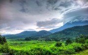 Bàn giao cổng thông tin PGD Ba Vì