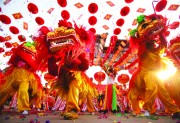 VINADES thông báo lịch nghỉ tết âm lịch 2017