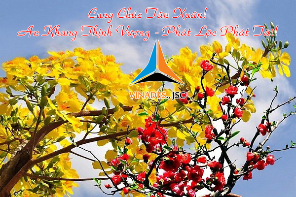 Chúc mừng năm mới Quý Tỵ